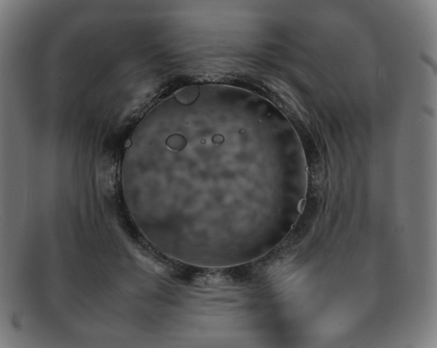 X0000092050503200709121215