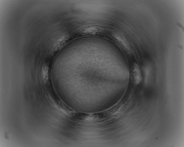 X0000092050504200709121215