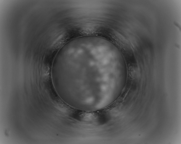 X0000092050507200709121215