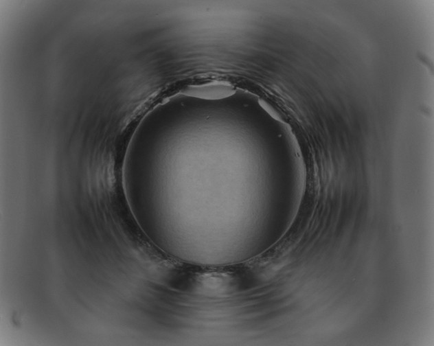 X0000092050508200709121215