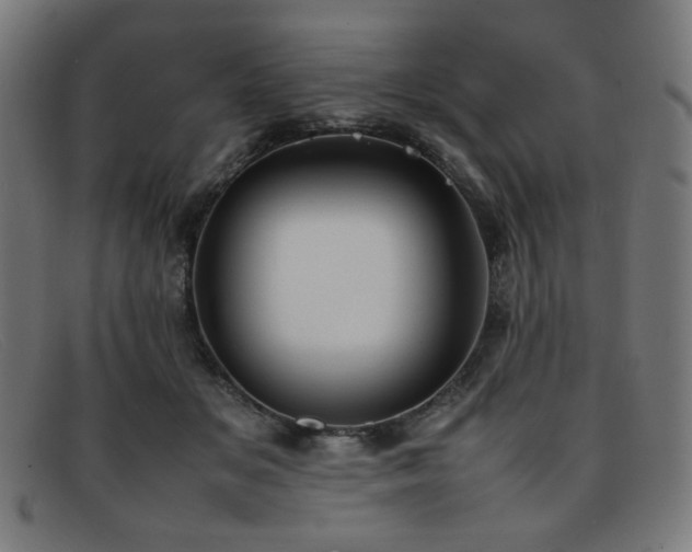 X0000092050509200709121215