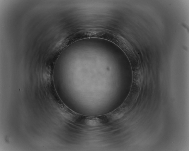 X0000092050510200709121215