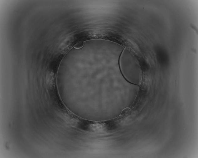 X0000092050511200709121215