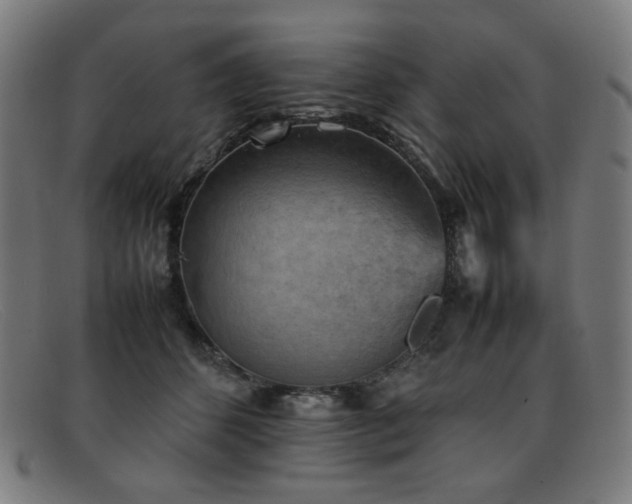 X0000092050512200709121215