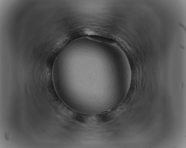 X0000092050513200709121215