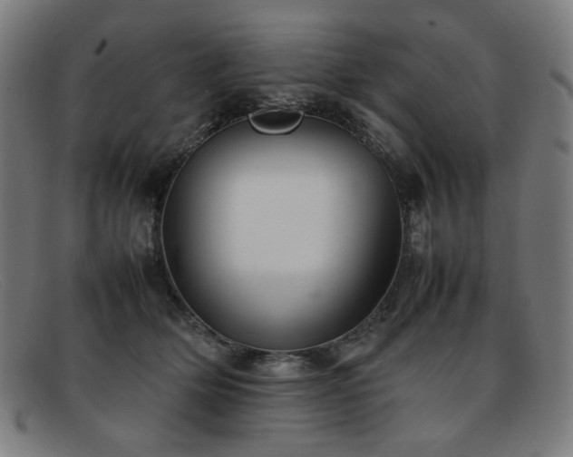 X0000092050514200709121215