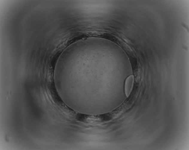 X0000092050515200709121215