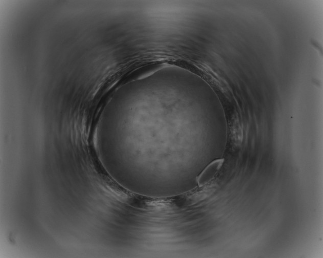 X0000092050516200709121215