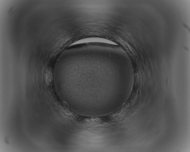 X0000092050517200709121215