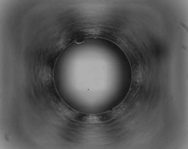 X0000092050518200709121215