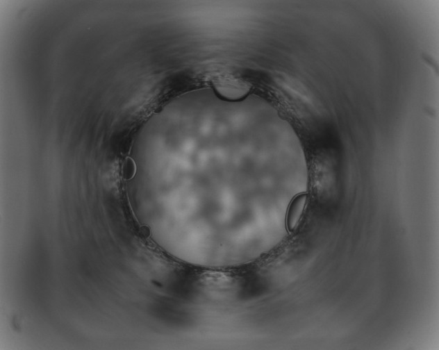 X0000092050519200709121215