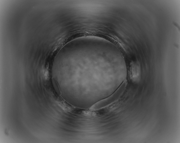 X0000092050520200709121215