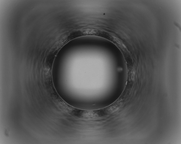 X0000092050521200709121215