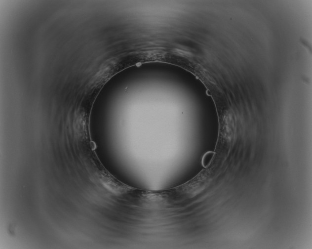 X0000092050522200709121215