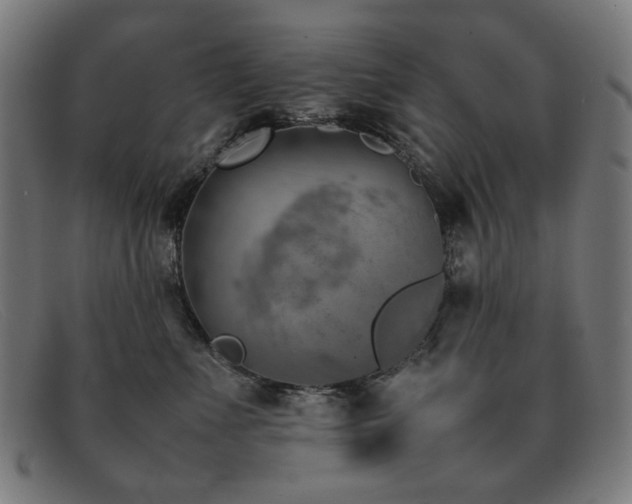 X0000092050523200709121215