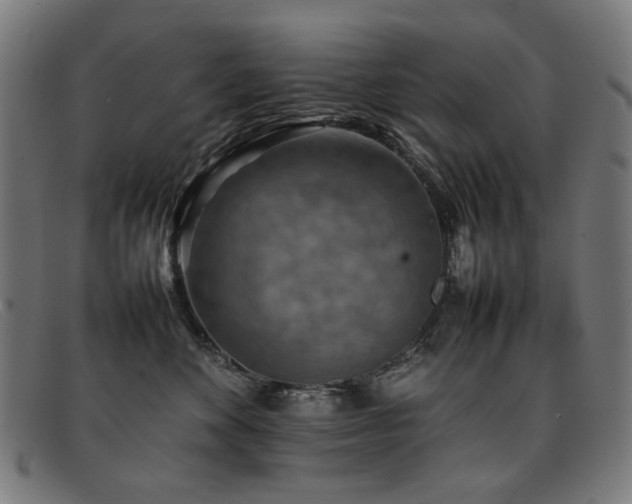 X0000092050524200709121215