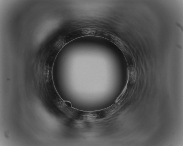 X0000092050525200709121215