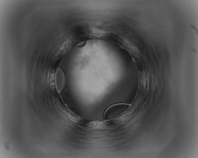 X0000092050526200709121215