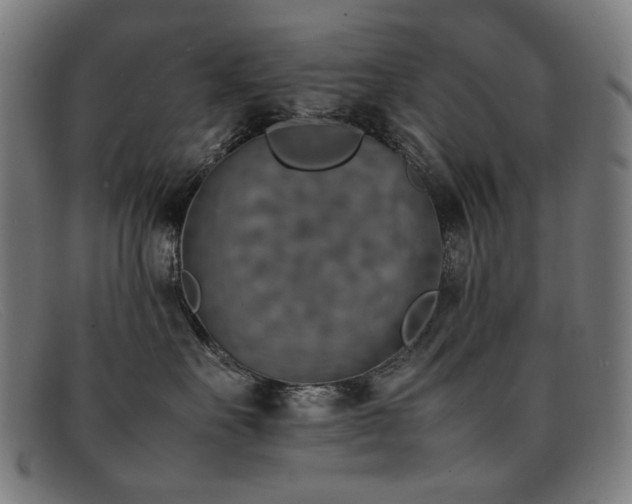 X0000092050527200709121215