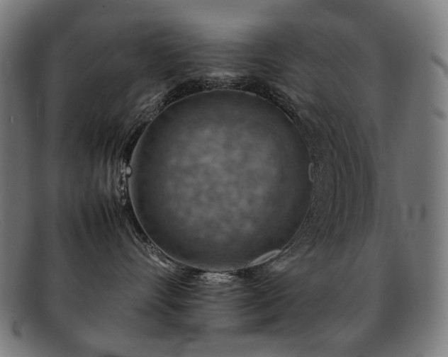 X0000092050528200709121215