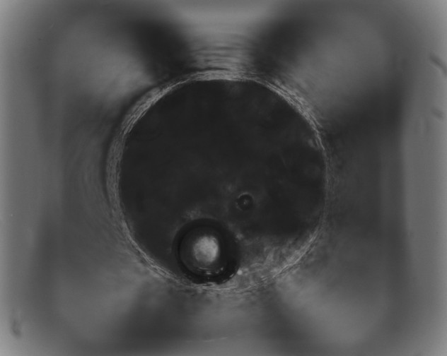 X0000092050529200709121214