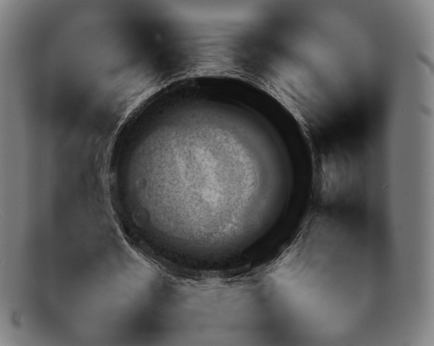 X0000092050530200709121214