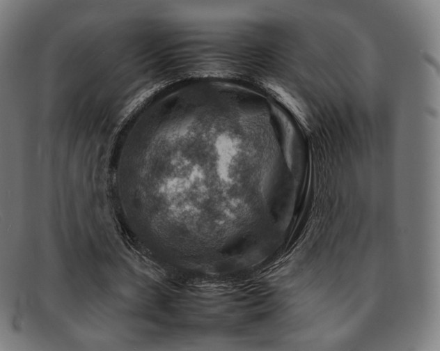 X0000092050531200709121214