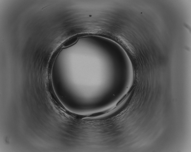 X0000092050532200709121214