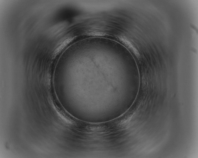 X0000092050533200709121214