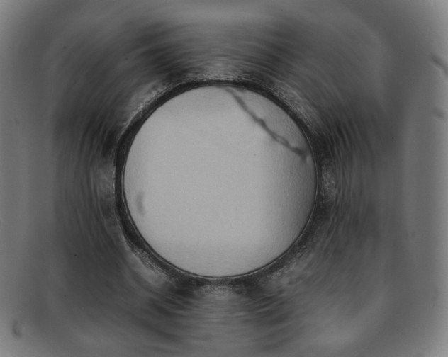 X0000092050534200709121214