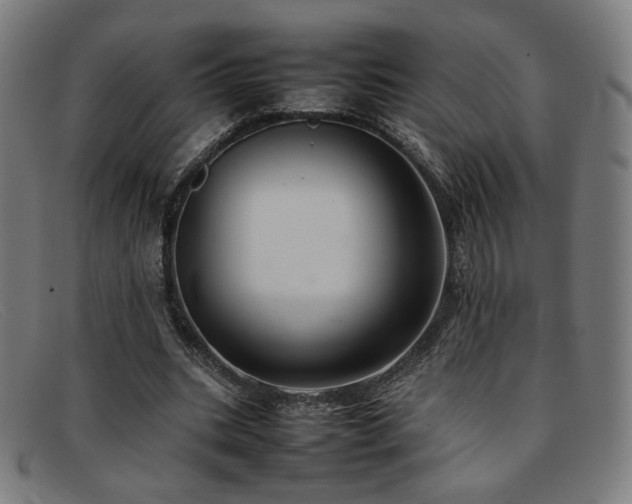 X0000092050535200709121214