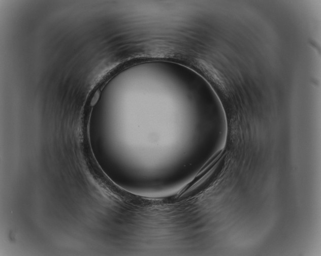 X0000092050536200709121214