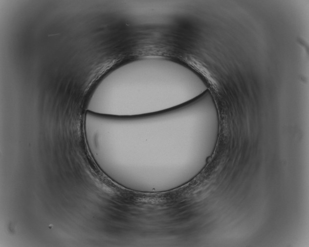 X0000092050537200709121214