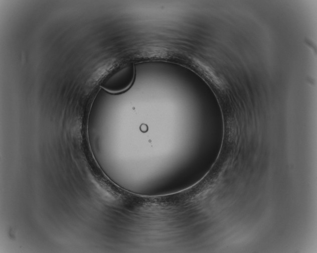 X0000092050538200709121214