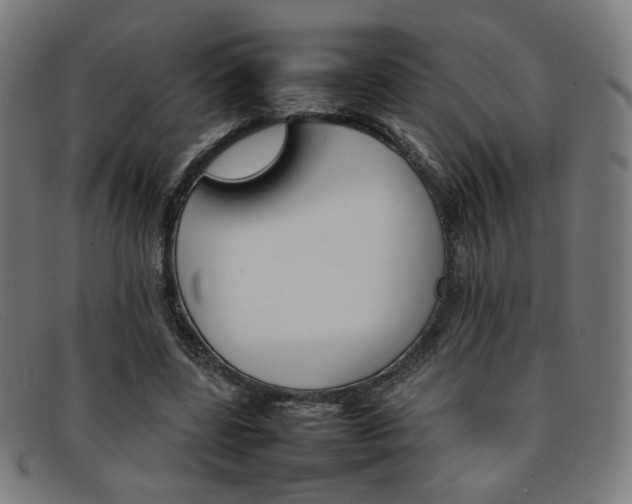 X0000092050539200709121214