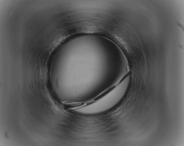 X0000092050540200709121214