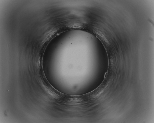 X0000092050541200709121214