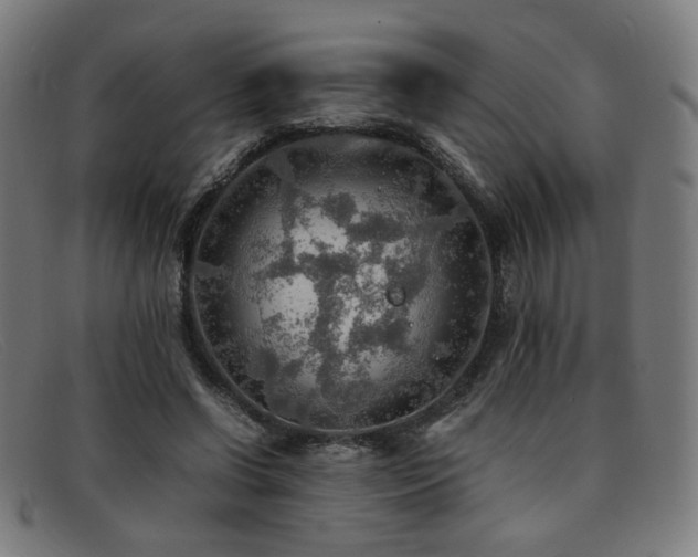 X0000092050542200709121214