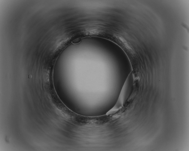 X0000092050543200709121214