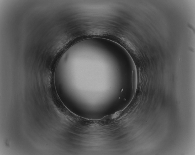 X0000092050544200709121214