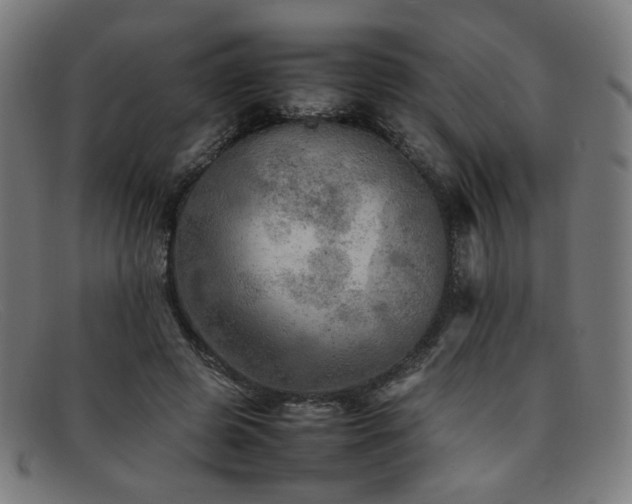 X0000092050545200709121214