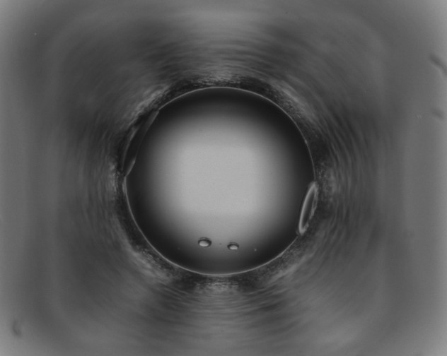 X0000092050546200709121214