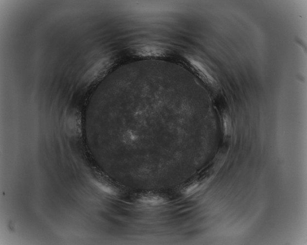 X0000092050547200709121214