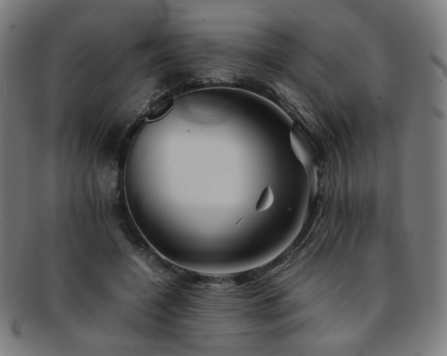 X0000092050548200709121214