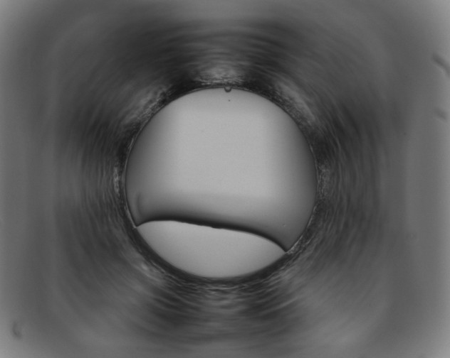 X0000092050549200709121214