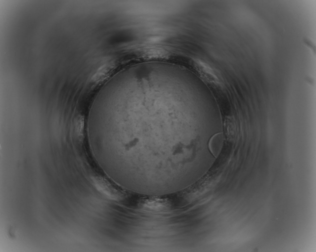 X0000092050550200709121214