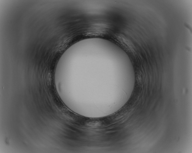 X0000092050551200709121214