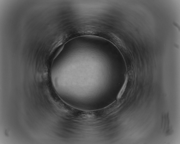 X0000092050552200709121214