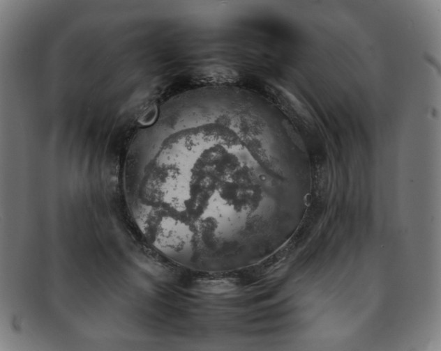 X0000092050553200709121214