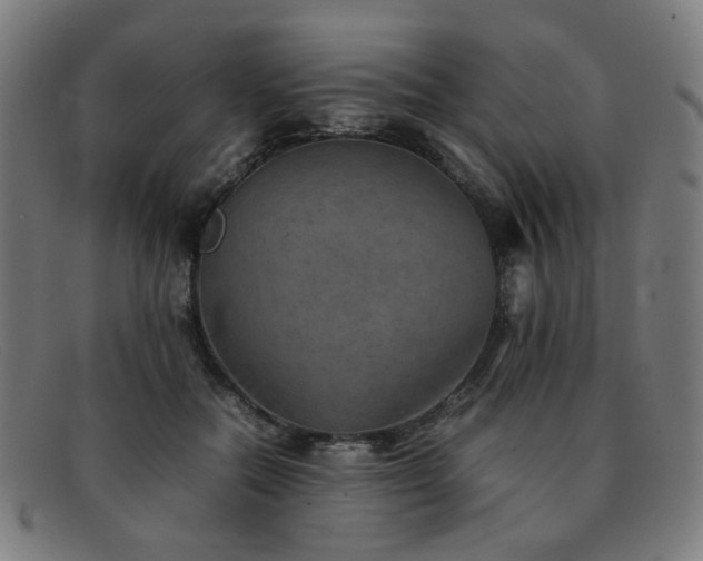 X0000092050554200709121214